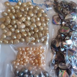 Fresh Water Pearls and Oyster Shells